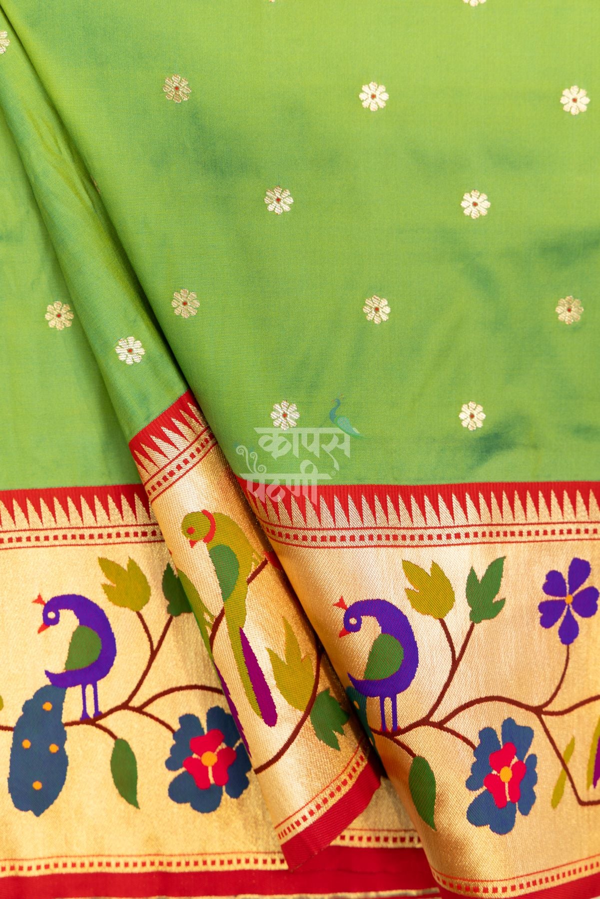 Designer Peacock Parrot Floral Border Saree