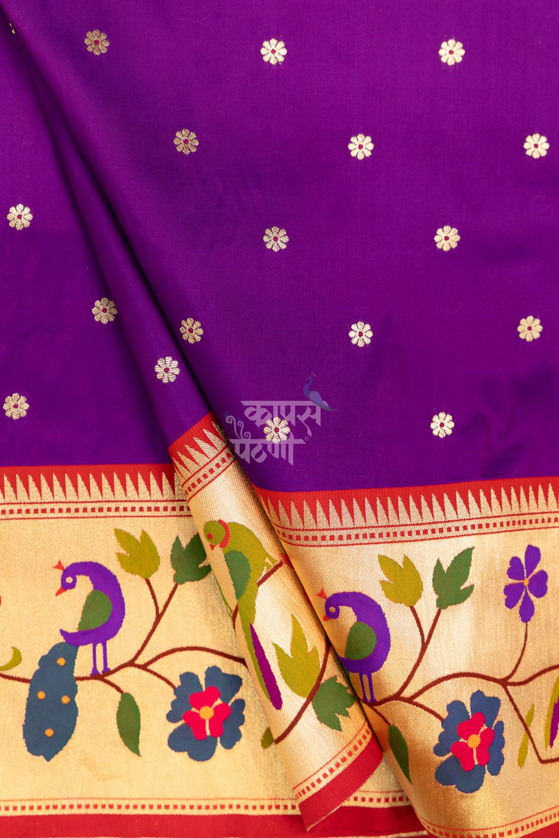 Designer Peacock Parrot Floral Border Saree