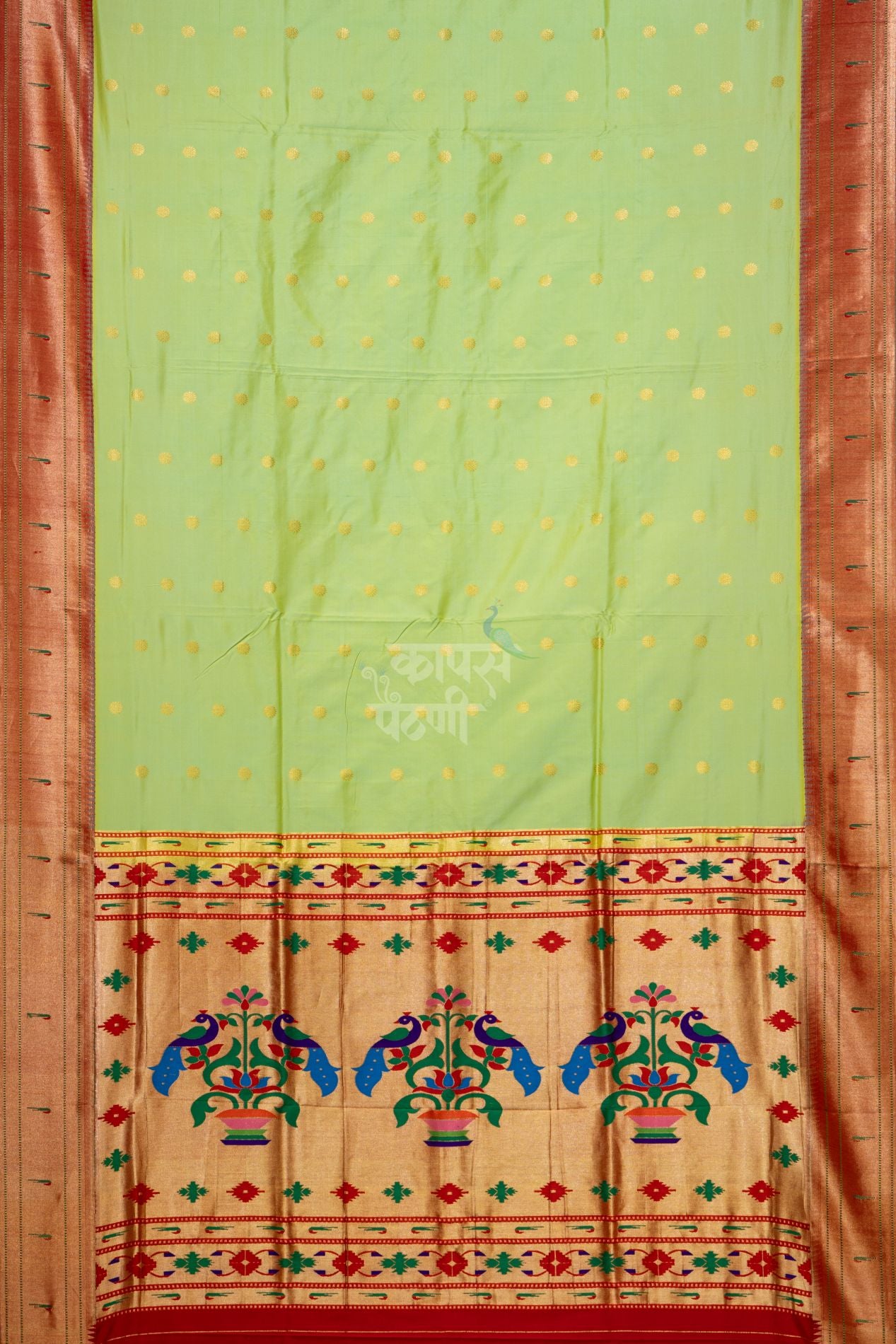Gangotri Sunflower Allover Jari Butta Saree