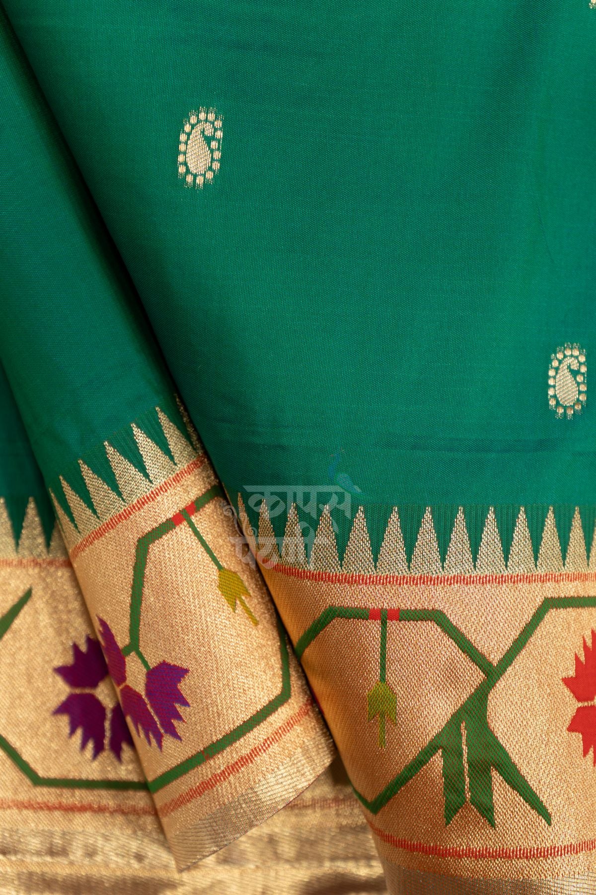 Designer Asavali Border Saree