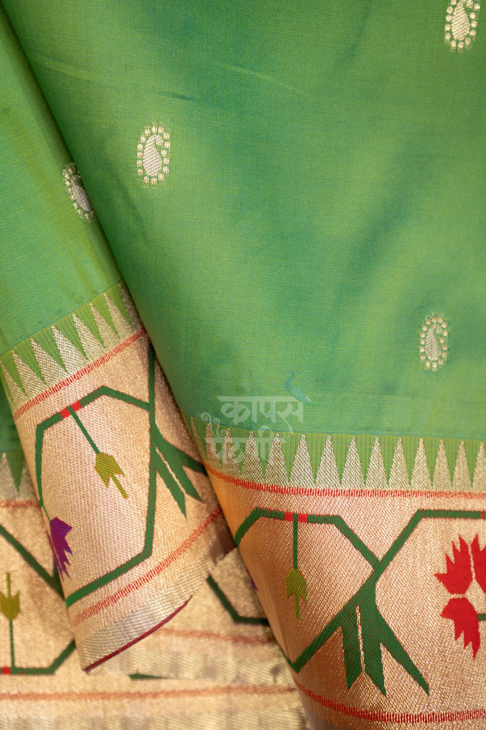 Traditional Asavali Border Designer Saree